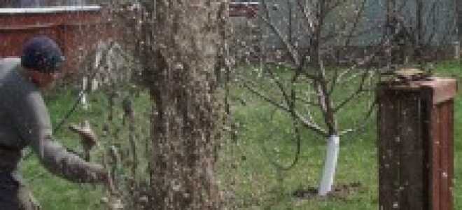 Как произвести замену и ремонт скважинных насосов