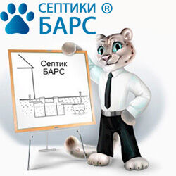 Септик Барс