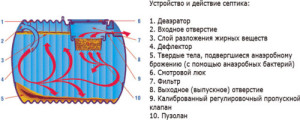 Устройство и принцип работы