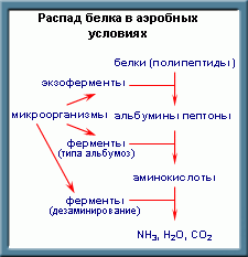 Процессы в септиках