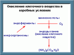 Процессы в септиках