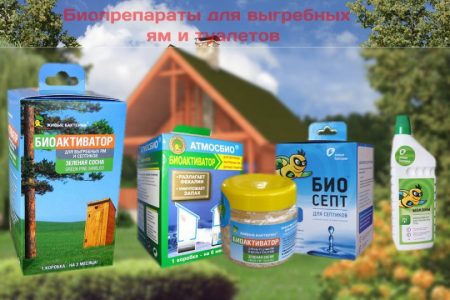 Биопрепараты для выгребных ям