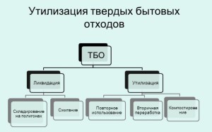 Способы утилизации ТБО