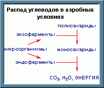 Процессы в септиках