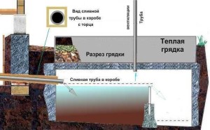 Устройство накопительного септика