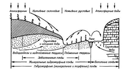 Признаки заболачивания почв грунтовыми и напорными водами