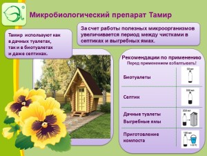 Рекомендации Тамир